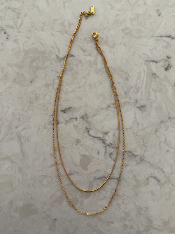 Double Layered Necklace